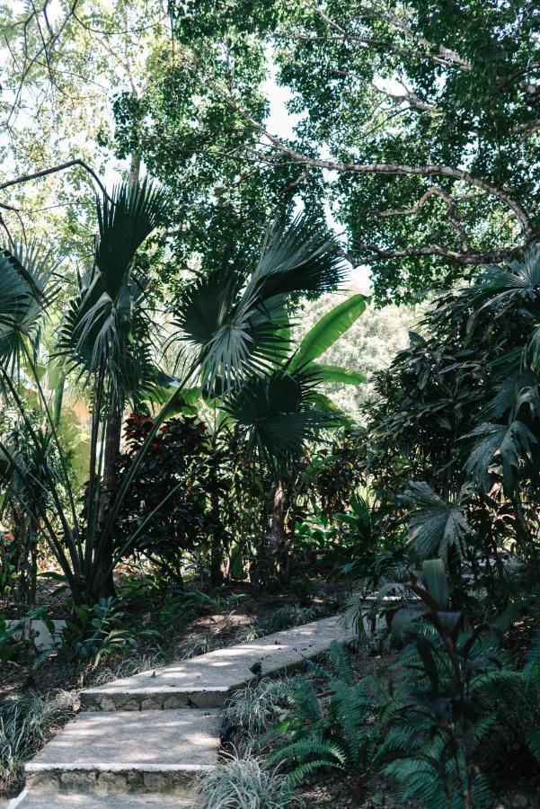 Star Mountain Jungle Lodge & Horse Ranch Malpais Exterior foto