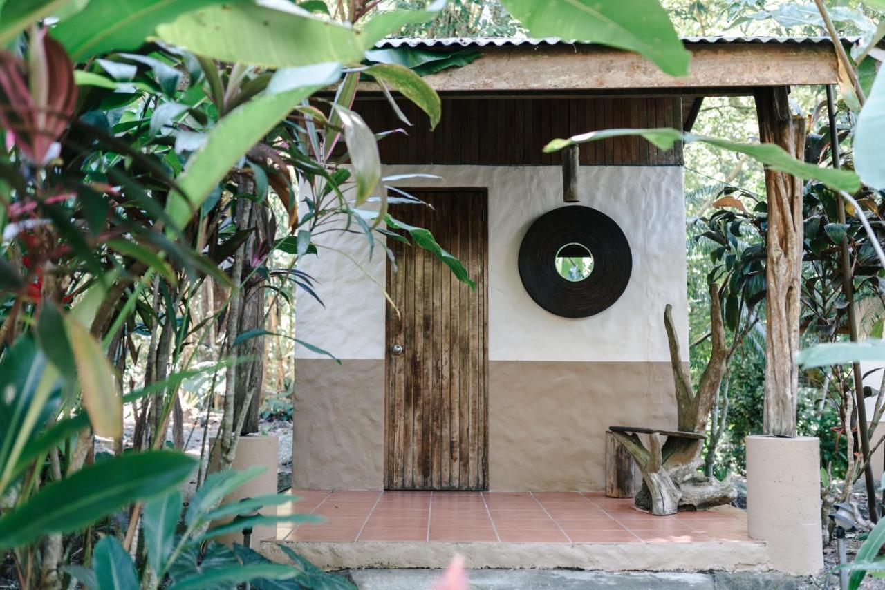 Star Mountain Jungle Lodge & Horse Ranch Malpais Exterior foto