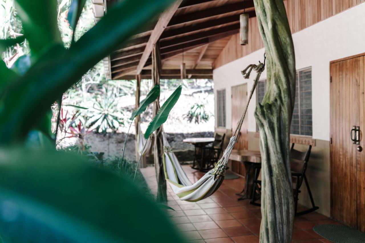 Star Mountain Jungle Lodge & Horse Ranch Malpais Exterior foto